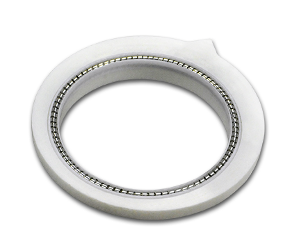 Valve Seal Assembly